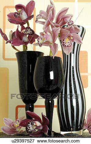 Orchids in vases View Large Photo Image Stock Photo - Orchids in vases. Fotosearch