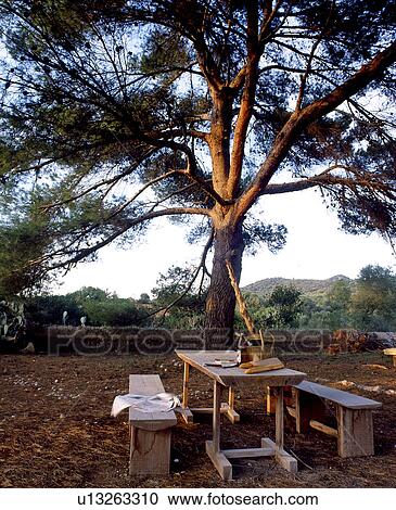 Picnic area at a tree View Large Photo Image Stock Image - Picnic area at a tree. Fotosearch
