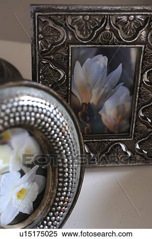 Pictures of flowers in frame View Large Photo Image Stock Photography - Pictures of flowers in frame. Fotosearch