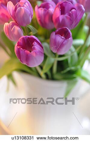 Pink bunch of tulips View Large Photo Image Stock Image - Pink bunch of tulips. Fotosearch