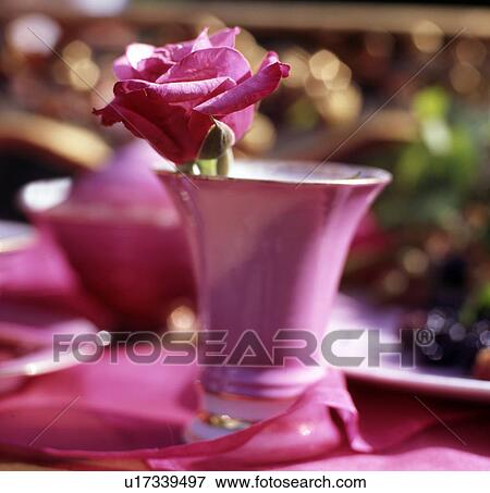 Pink rose blossom View Large Photo Image Stock Photo - Pink rose blossom. Fotosearch