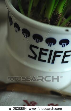 Plant growing in flowerpot with inscription View Large Photo Image Picture - Plant growing in flowerpot with inscription. Fotosearch