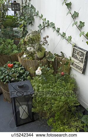 Picture - Plants and storm lantern. Fotosearch