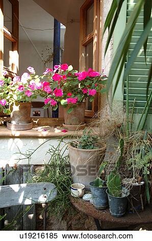 Plants on terrace View Large Photo Image Stock Photography - Plants on terrace. Fotosearch