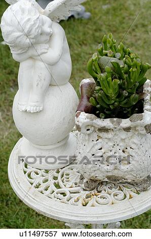 Putto and plant in garden View Large Photo Image Stock Photo - Putto and plant in garden. Fotosearch