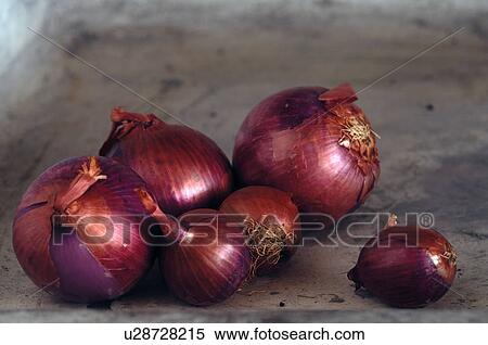 Red onions View Large Photo Image Stock Photography - Red onions. Fotosearch