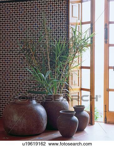 Reed grass in ceramic vases View Large Photo Image Stock Image - Reed grass in ceramic vases. Fotosearch