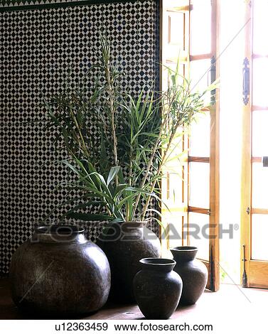 Reed grass in ceramic vases View Large Photo Image Stock Photo - Reed grass in ceramic vases. Fotosearch