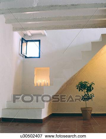 Room with potted plant and stone staircase View Large Photo Image Stock Photo - Room with potted plant and stone staircase. Fotosearch