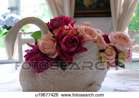 Rose blossoms in swan figurine View Large Photo Image Stock Photograph - Rose blossoms in swan figurine. Fotosearch
