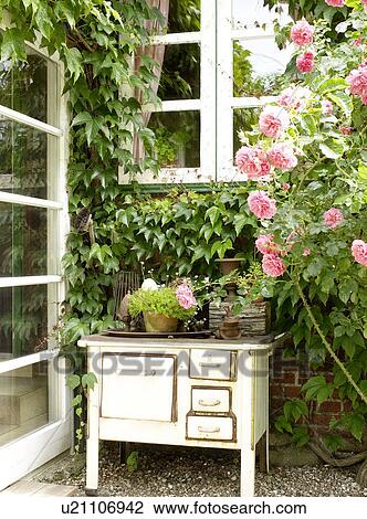 Stock Image - Rose bush and old oven on terrace. Fotosearch
