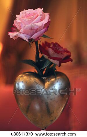 Roses in heart-shaped vase View Large Photo Image Stock Image - Roses in heart-shaped vase. Fotosearch