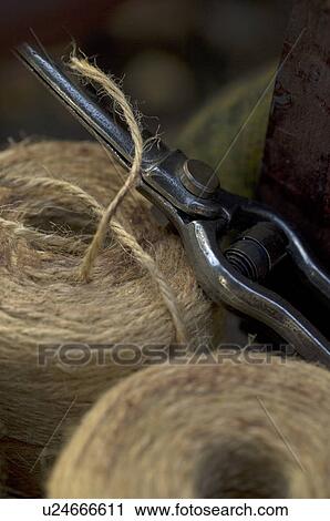 Stock Image - Shears and rolls of cord. Fotosearch