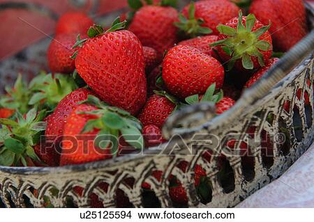 Strawberries on tray View Large Photo Image Picture - Strawberries on tray. Fotosearch