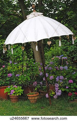 Sunshade and flowerpots in garden View Large Photo Image Stock Photo - Sunshade and flowerpots in garden. Fotosearch