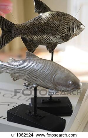Picture - Two decorative fishes. Fotosearch