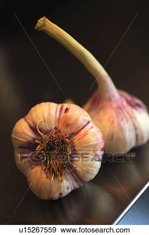 Two garlic bulbs View Large Photo Image Stock Photo - Two garlic bulbs. Fotosearch