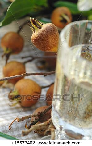 Wild apples with glass of water View Large Photo Image Stock Image - Wild apples with glass of water. Fotosearch