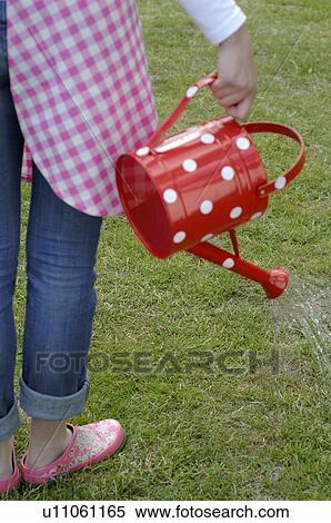 Stock Photography - Woman in garden watering lawn. Fotosearch