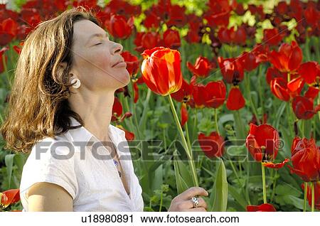Woman surrounded by red tulips View Large Photo Image Stock Image - Woman surrounded by red tulips. Fotosearch