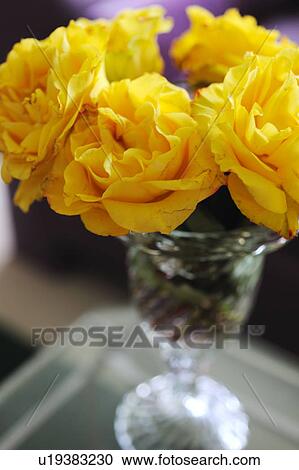 Yellow roses View Large Photo Image Stock Image - Yellow roses. Fotosearch