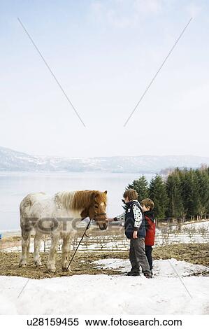 Stock Photography - 2 brothers with horse. Fotosearch