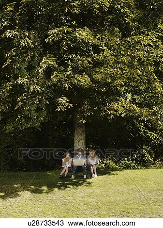 3 friends working under a tree View Large Photo Image Stock Image - 3 friends working under a tree. Fotosearch