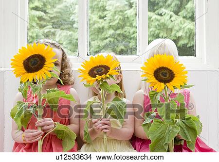 Picture - 3 girls, 3 sunflowers, by 3 windows. Fotosearch