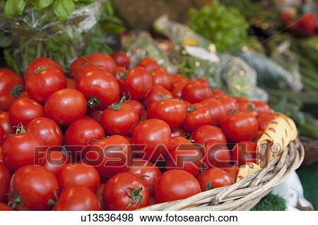 A basket full of tomatoes on a market View Large Photo Image Stock Photo - A basket full of tomatoes on a market. Fotosearch