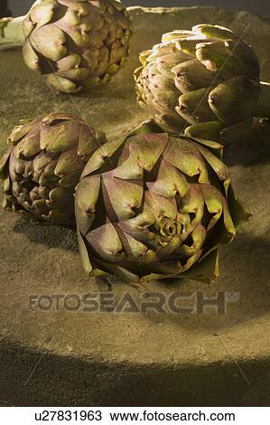 Stock Image - Artichoke. Fotosearch