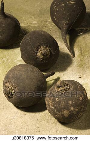 Stock Photography - Beetroot. Fotosearch