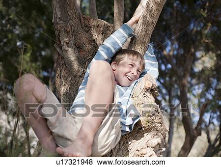 Boy (8-10) climbing tree, laughing View Large Photo Image Stock Photo - Boy (8-10) climbing tree, laughing. Fotosearch