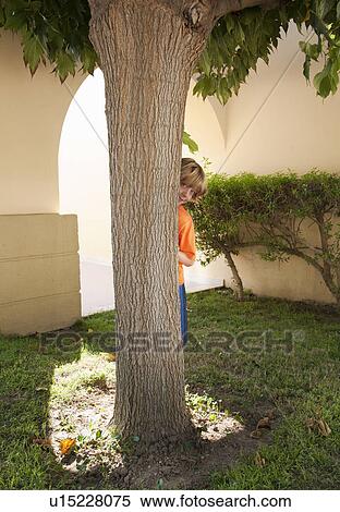 Stock Photography - Boy hiding behind tree. Fotosearch