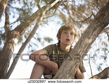 Stock Photo - Boy looking out from branches of tree. Fotosearch