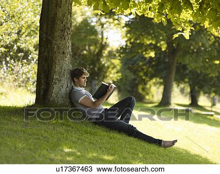 Stock Image - Boy reading under a tree. Fotosearch