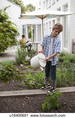 Boy watering plants View Large Photo Image Stock Image - Boy watering plants. Fotosearch