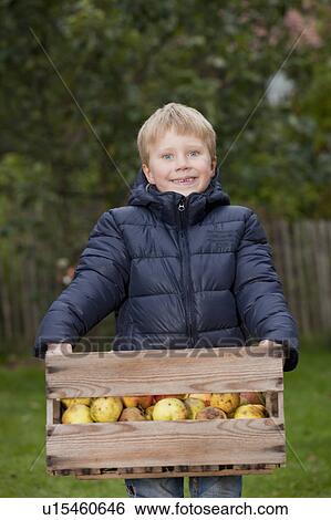 Boy with box of apples View Large Photo Image Stock Photograph - Boy with box of apples. Fotosearch