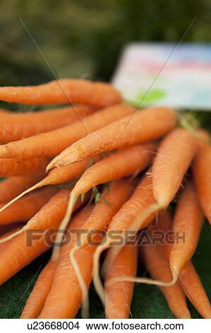 Carrots shown on a market View Large Photo Image Picture - Carrots shown on a market. Fotosearch
