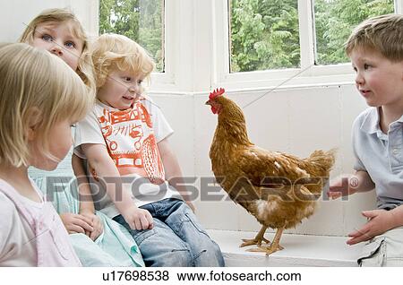 Stock Photo - Children playing with a chicken. Fotosearch