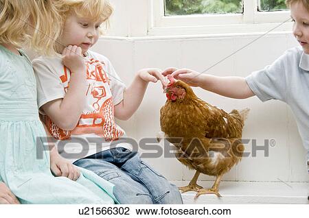 Stock Image - Children stroking a chicken. Fotosearch
