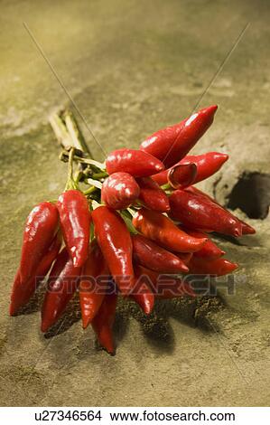 Picture - Chilli. Fotosearch