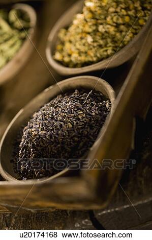 Dried herbs View Large Photo Image Stock Photo - Dried herbs. Fotosearch