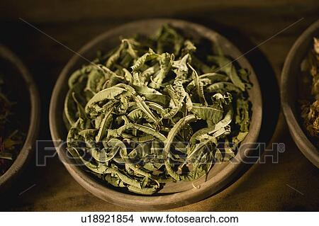 Picture - Dried leaves. Fotosearch