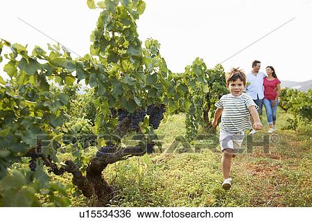 Stock Photograph - Family in vineyard. Fotosearch