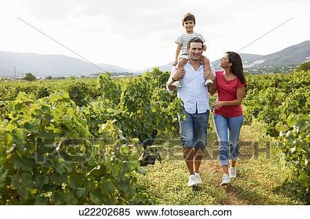 Family walking through vineyard View Large Photo Image Stock Photography - Family walking through vineyard. Fotosearch