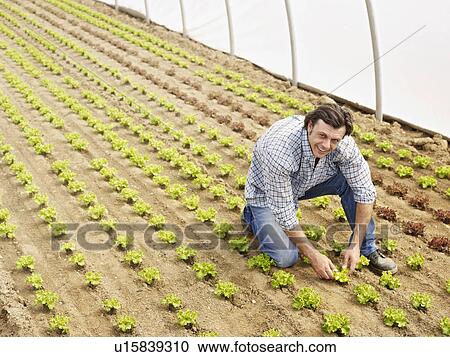 Stock Image - Farmer. Fotosearch