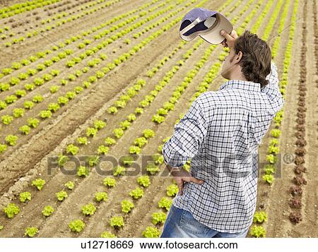 Farmer View Large Photo Image Stock Photo - Farmer. Fotosearch