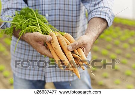 Farmer View Large Photo Image Stock Photo - Farmer. Fotosearch