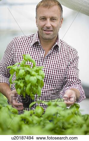 Picture - Farming vegetables and fruits. Fotosearch
