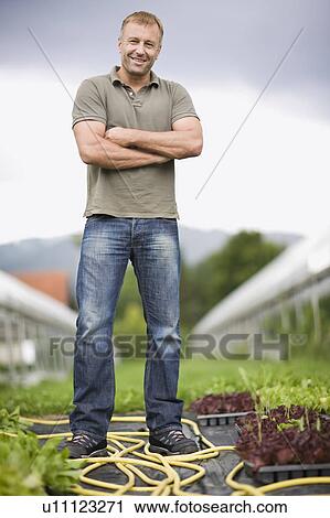 Farming vegetables and fruits View Large Photo Image Stock Image - Farming vegetables and fruits. Fotosearch